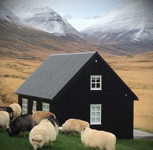 accommodation digital detox retreat to Iceland