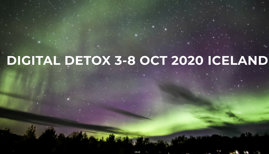 Digital Detox Resources, Research and Retreats Time To Log Off